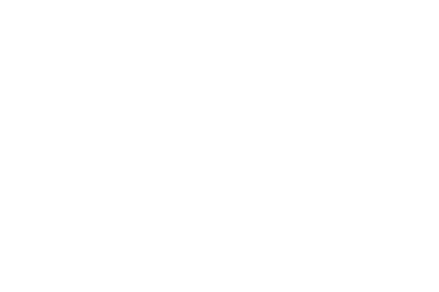 Zanes logo